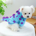 Dog Clothing & Accessories