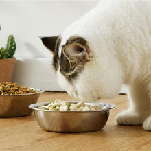 Stainless Steel Pet Food Bowl