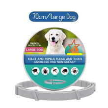 Waterproof Adjustable Dog Collar