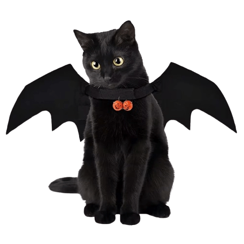 Pet Cosplay Bat Wings