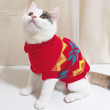 Cat Sweater Costume