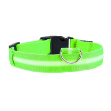 Rechargeable LED Dog Collar