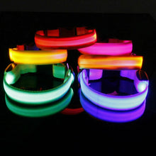 Rechargeable LED Dog Collar