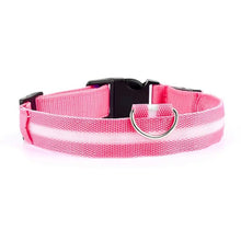 Rechargeable LED Dog Collar