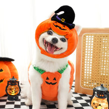 Pumpkin Pet Costume