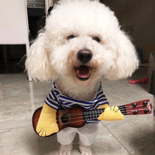 Funny Guitarist Pet Costume