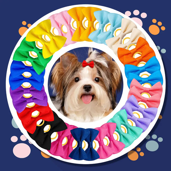 30-Piece Pet Hair Bow Variety Pack