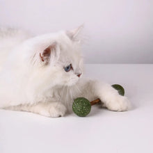 Natural Catnip Dumbbell Cat Toy