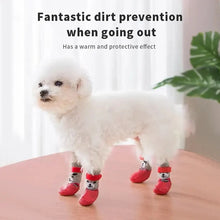 Paw-Protect Pet Shoes