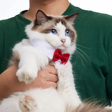 Bow and Tie Collar Accessory