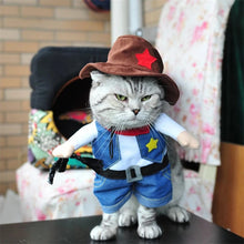 Cowboy Pet Costume