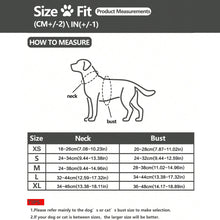 Easy-Adjust Dog Harness