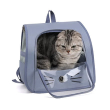 Outdoor Transparent Pet Carrier