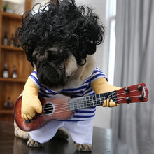 Funny Guitarist Pet Costume