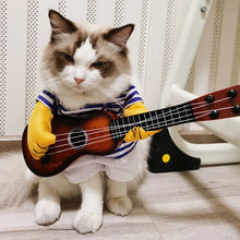 Funny Guitarist Pet Costume