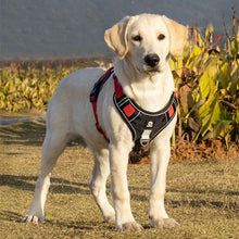 Reflective Dog Harness