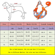 Ultimate Dog Harness and Lead