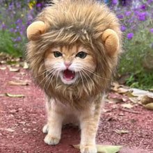 Furry Lion Pet Costume