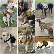 Military Training Dog Harness