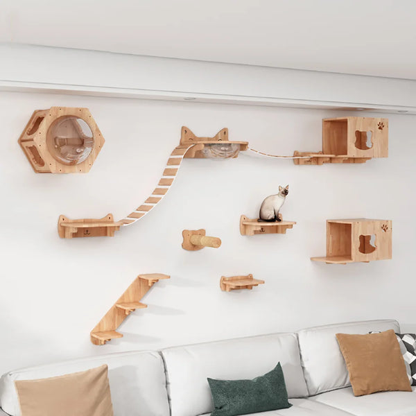 Cat Wall Mounted Climbing Set