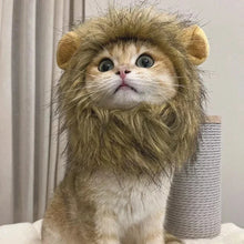 Furry Lion Pet Costume