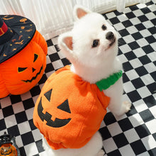 Pumpkin Pet Costume