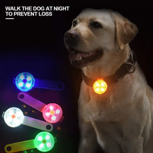 USB Safe Track LED Collar Charm