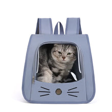 Outdoor Transparent Pet Carrier