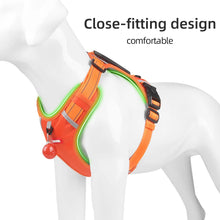 Outdoor Travel Dog Harness