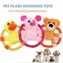 Interactive Pet Squeaker Toys