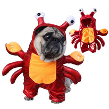 Red Crab Pet Costume