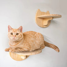 Wall Mounted Cat Platform