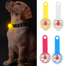 USB Safe Track LED Collar Charm