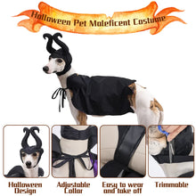 Witchy Cat and Dog Halloween Outfit