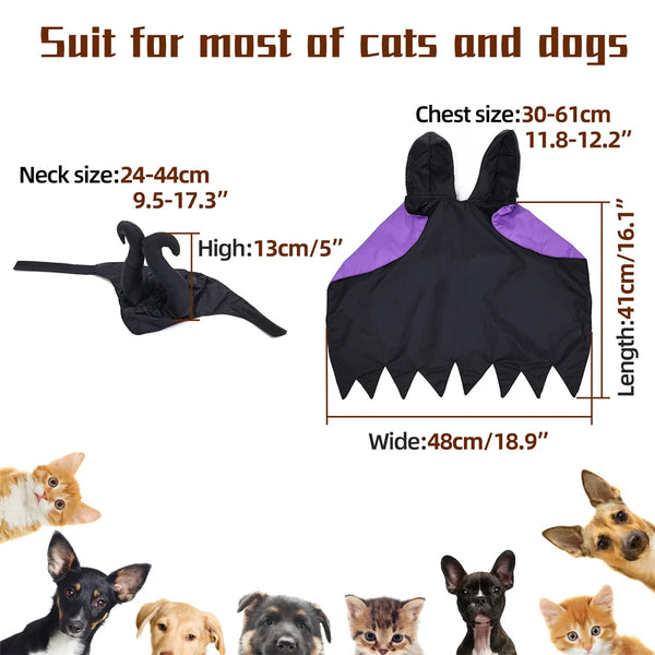 Witchy Cat and Dog Halloween Outfit