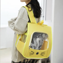 Outdoor Transparent Pet Carrier