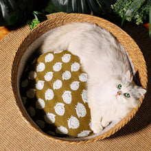 Handcrafted Japanese Woven Cat Bed