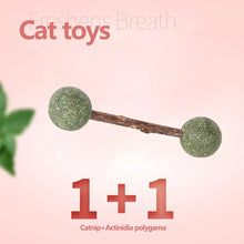 Natural Catnip Dumbbell Cat Toy