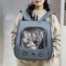 Outdoor Transparent Pet Carrier