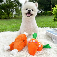 Carrot Crunch Squeaky Toy