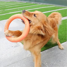 Chew-Resistant Fetch Ring