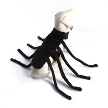 Spooky Spider Pet Outfit