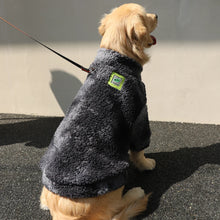 Wool Dog Jacket