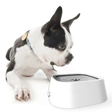 Hydration Station Pet Water Bowl – 1.5L Floating & Slow-Feed Design