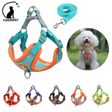 Ultimate Dog Harness and Lead