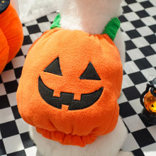 Pumpkin Pet Costume