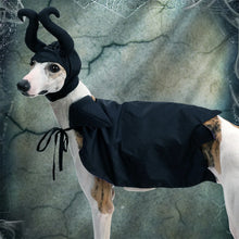 Witchy Cat and Dog Halloween Outfit