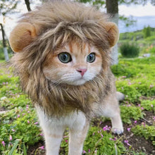 Furry Lion Pet Costume