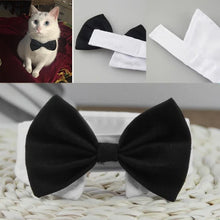 Bow and Tie Collar Accessory