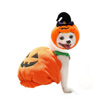 Pumpkin Pet Costume